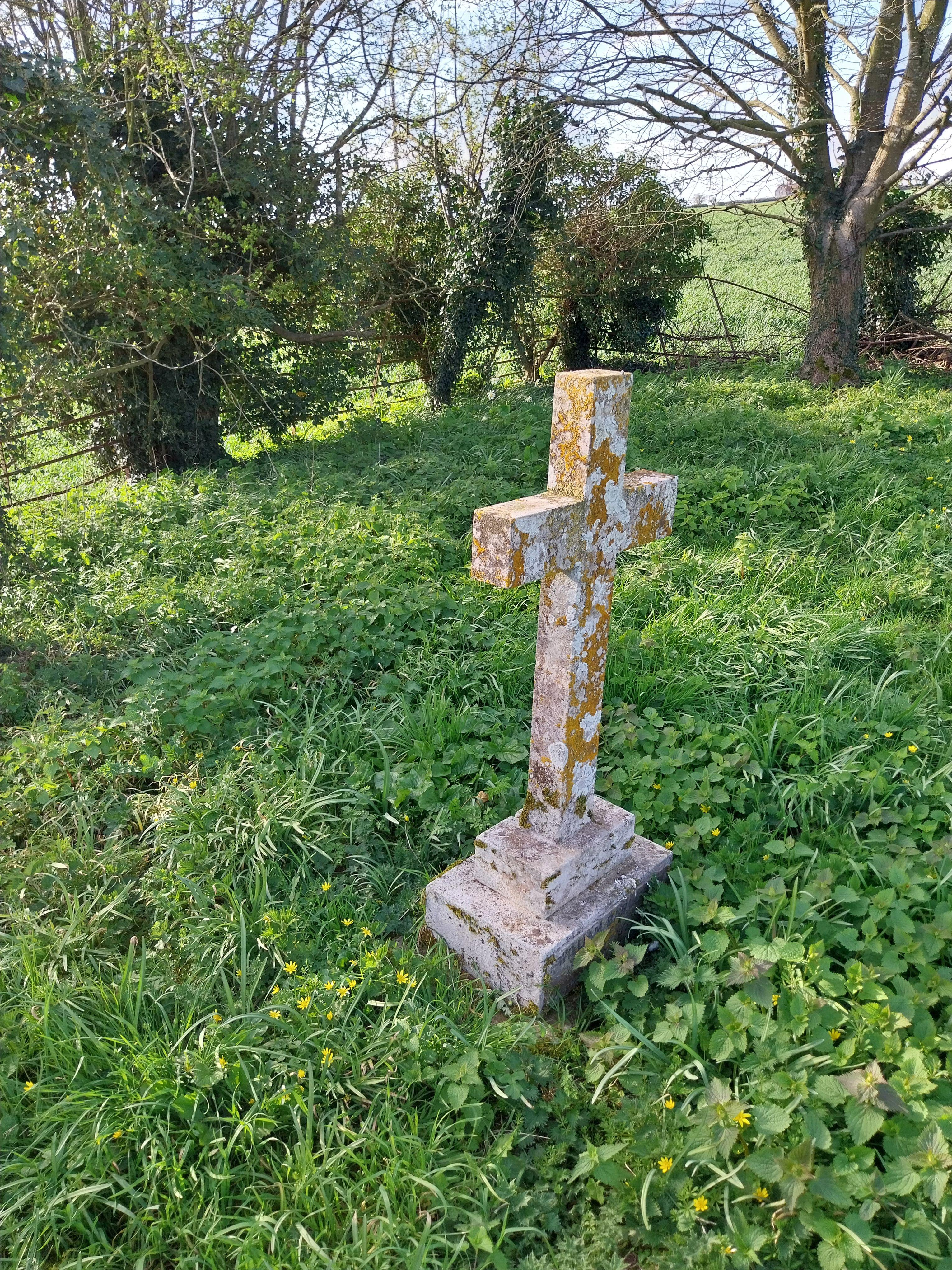 Grave image for BARLOW, William MA