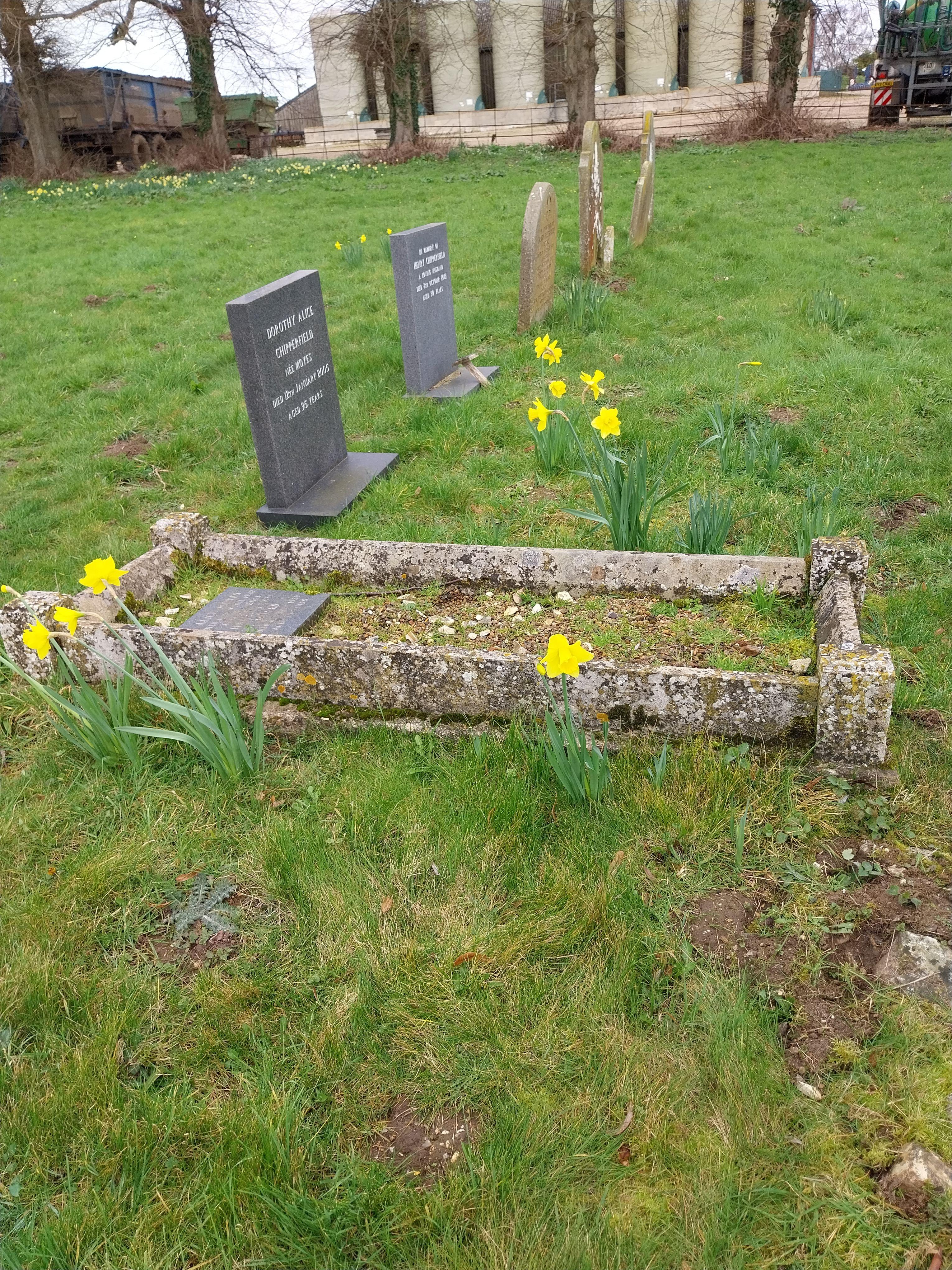 Grave image for MOYES, Alice