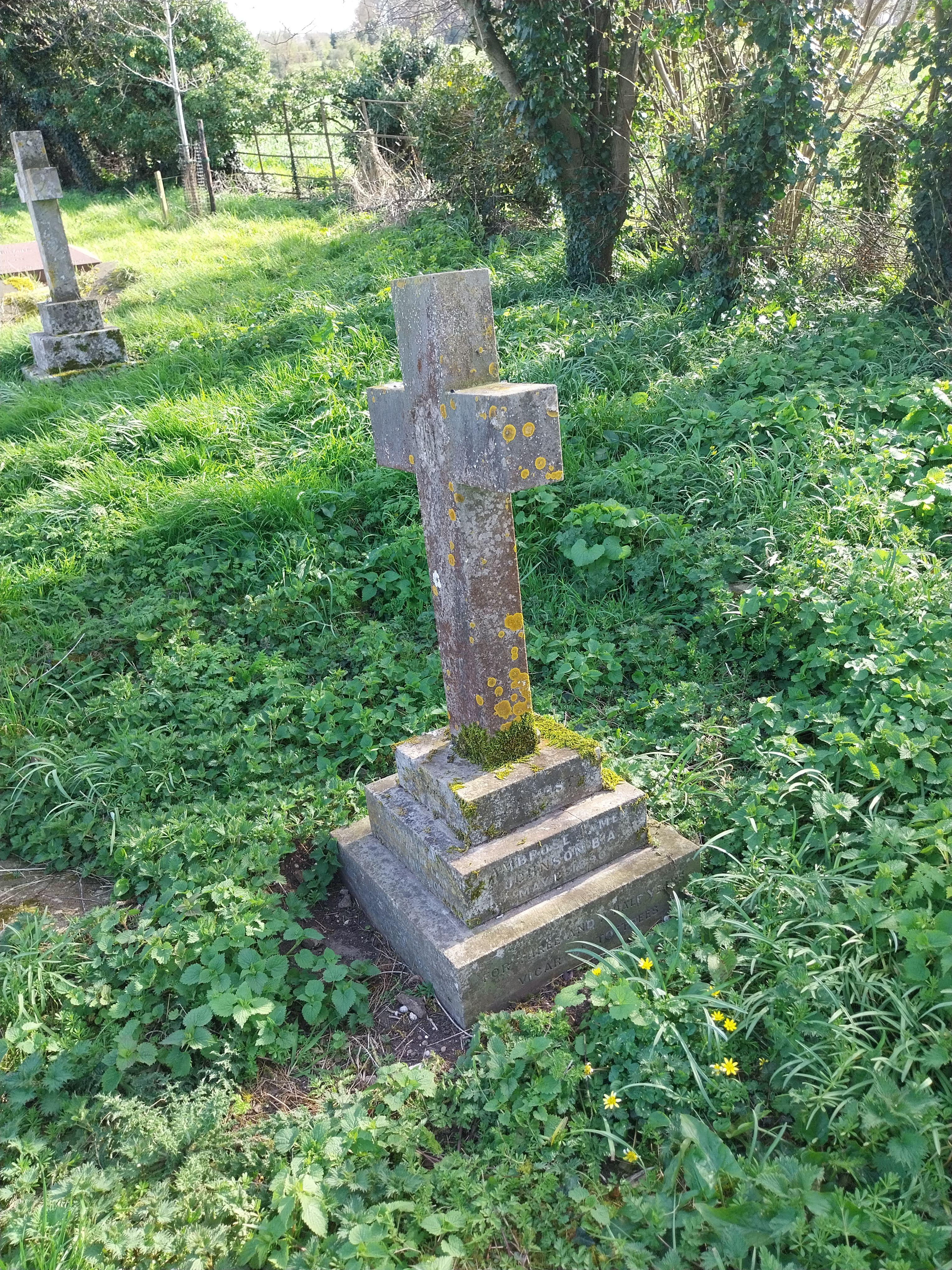 Grave image for JOHNSON, Ambrose James MA