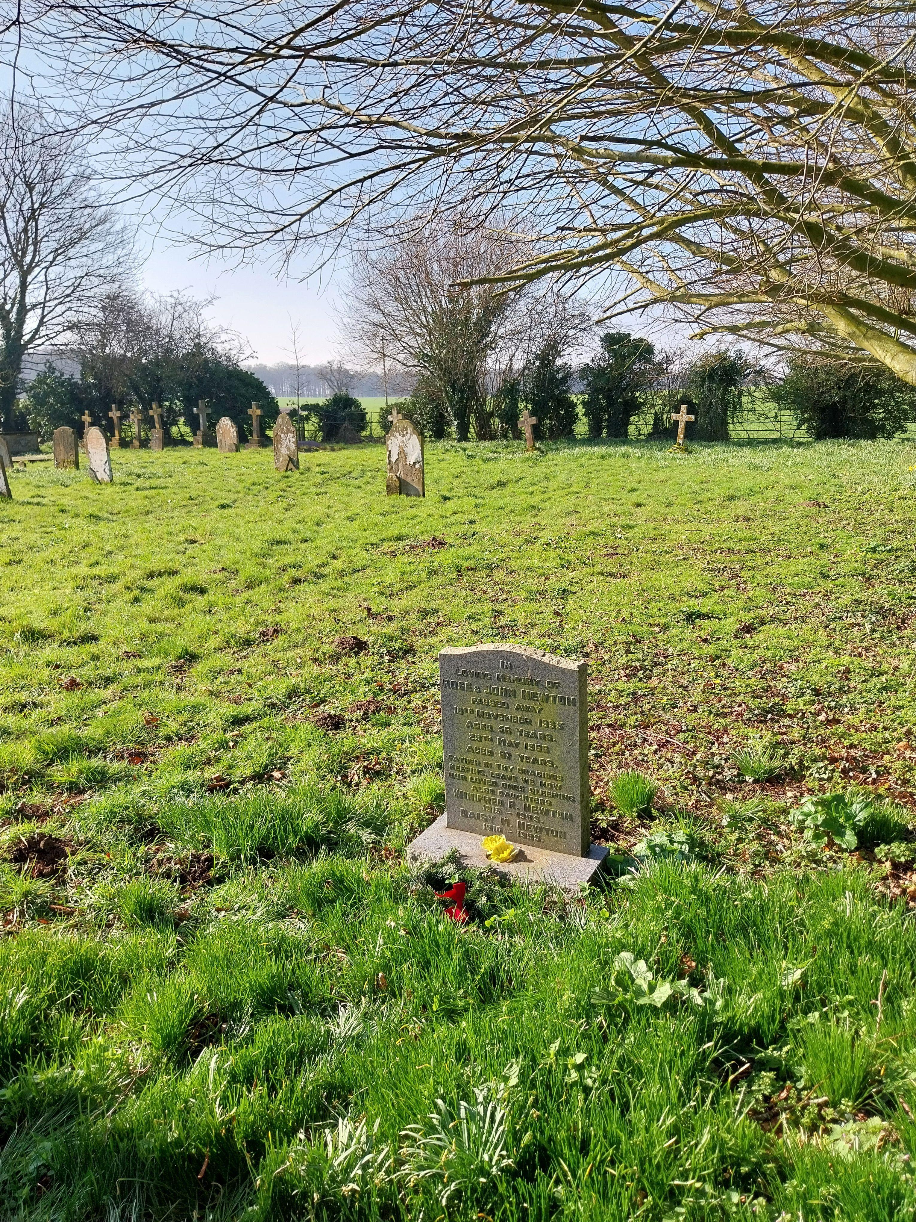 Grave image for NEWTON, Rose