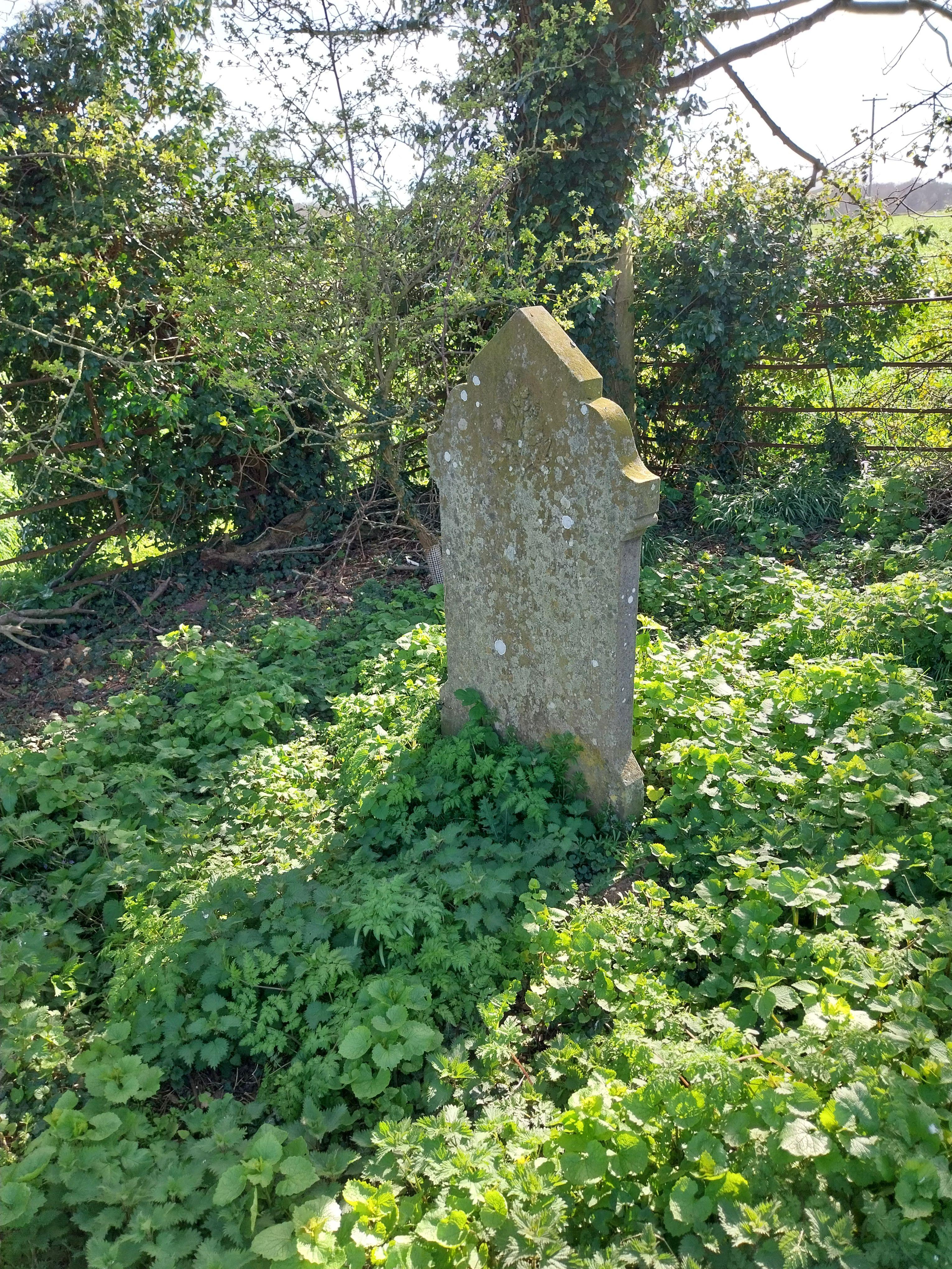 Grave image for BLANCHFLOWER, Benjamin High