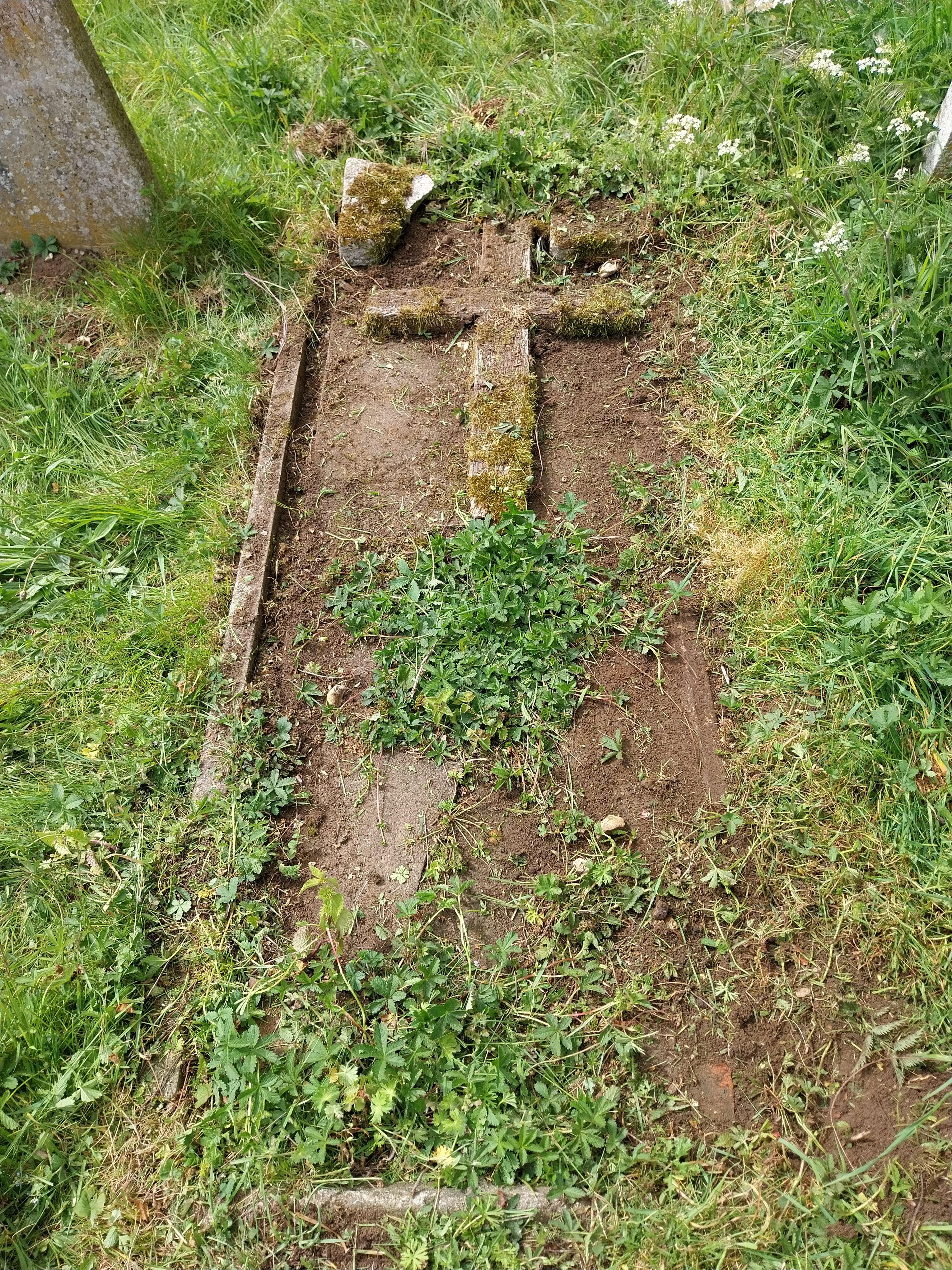Grave image for BORROWDALE, Violet Olive