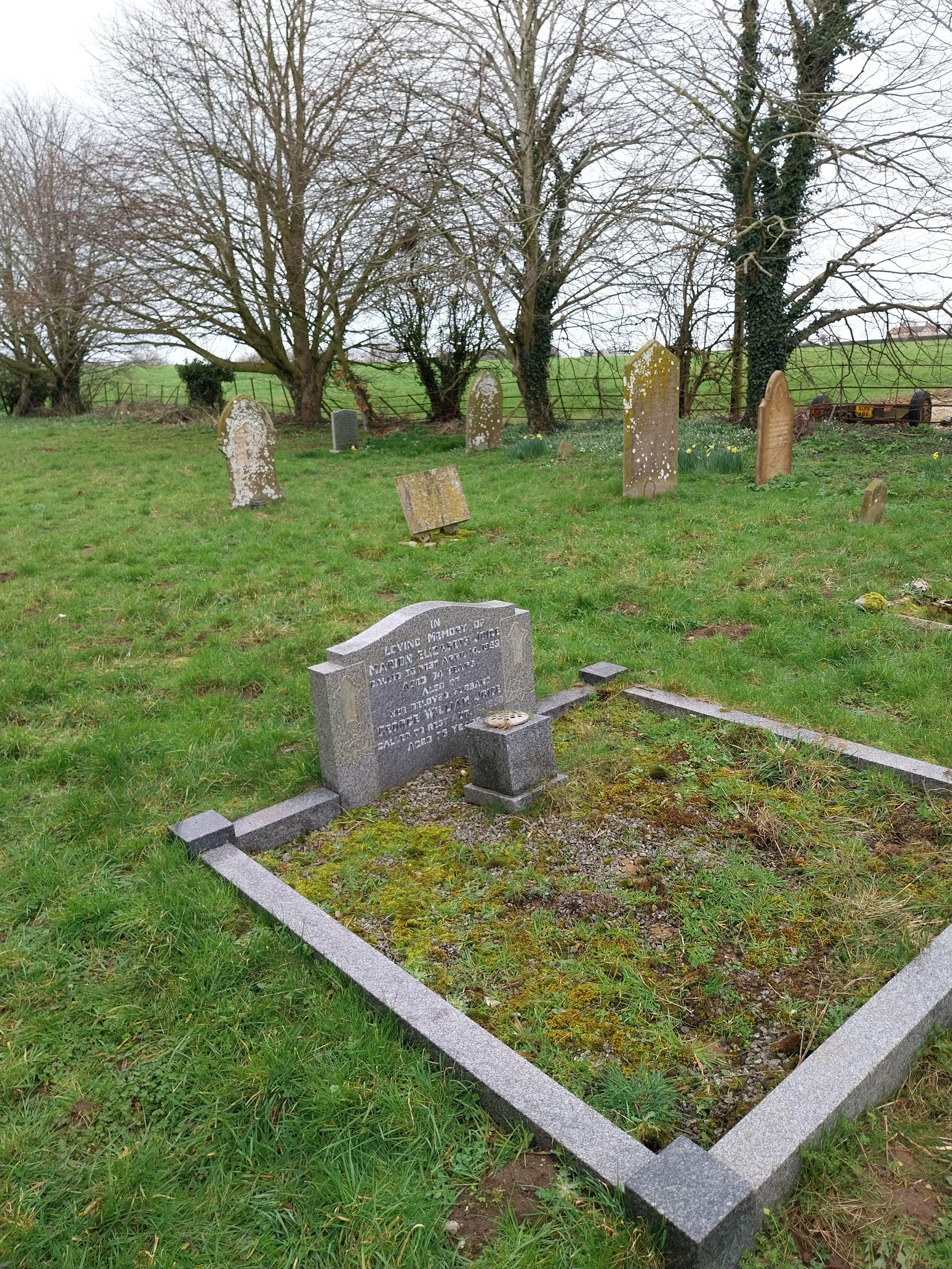 Grave image for JOICE, Marion Elizabeth