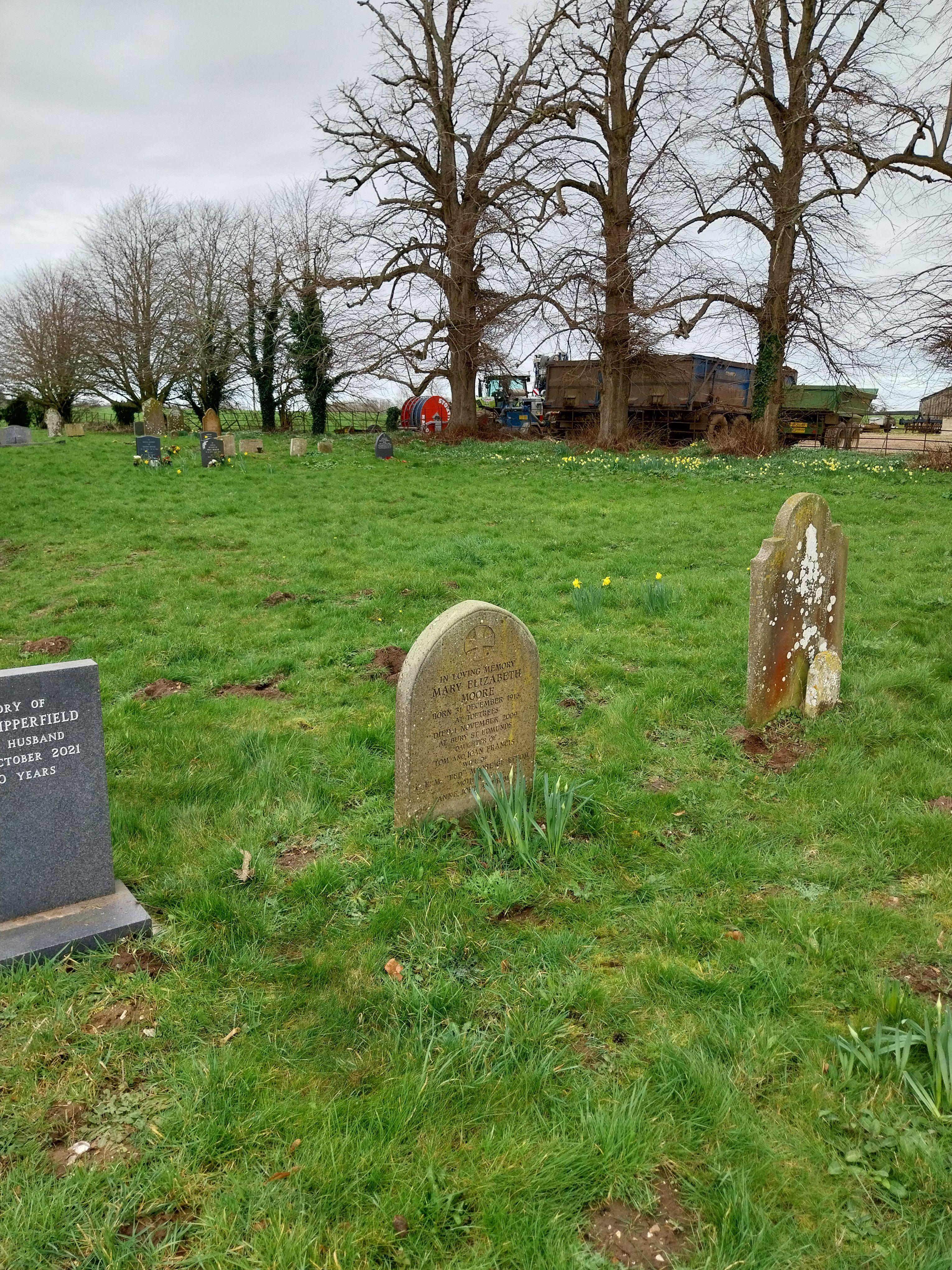 Grave image for MOORE, Mary Elizabeth