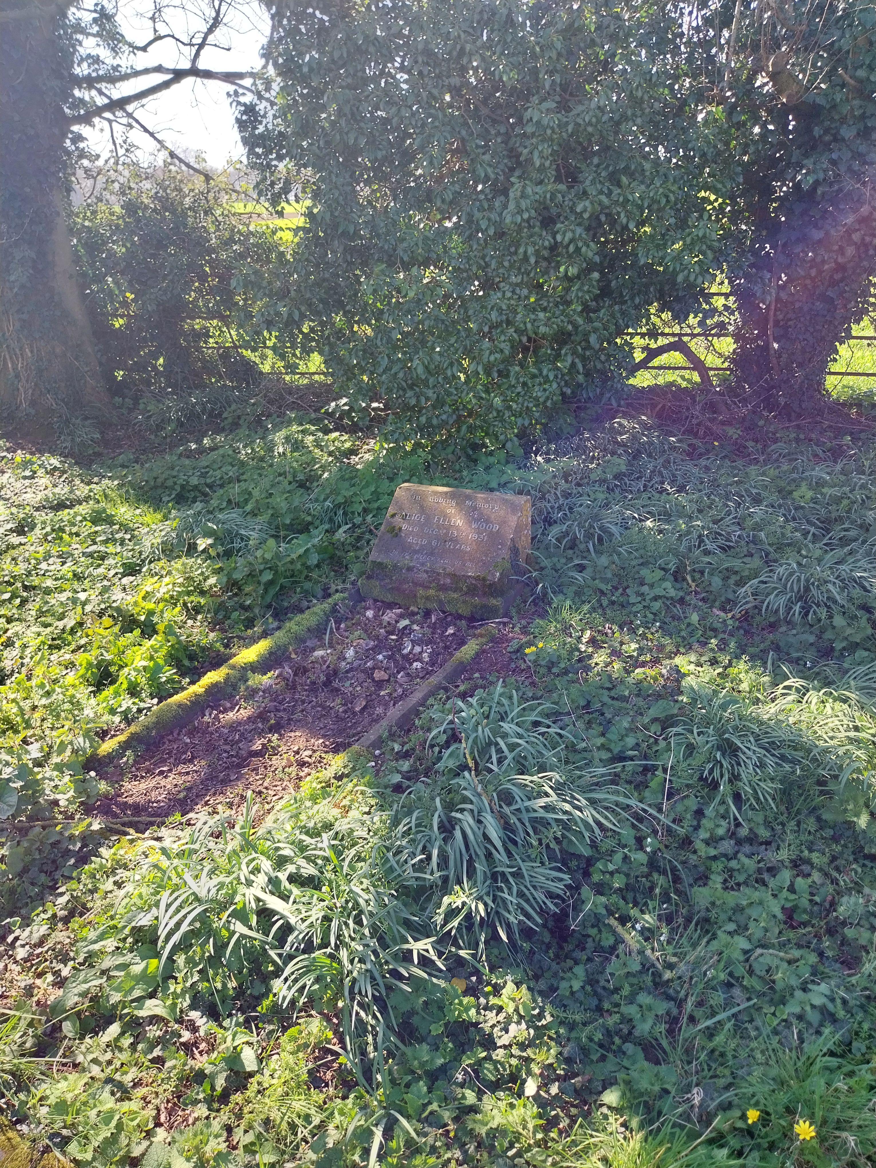 Grave image for WOOD, Alice Ellen