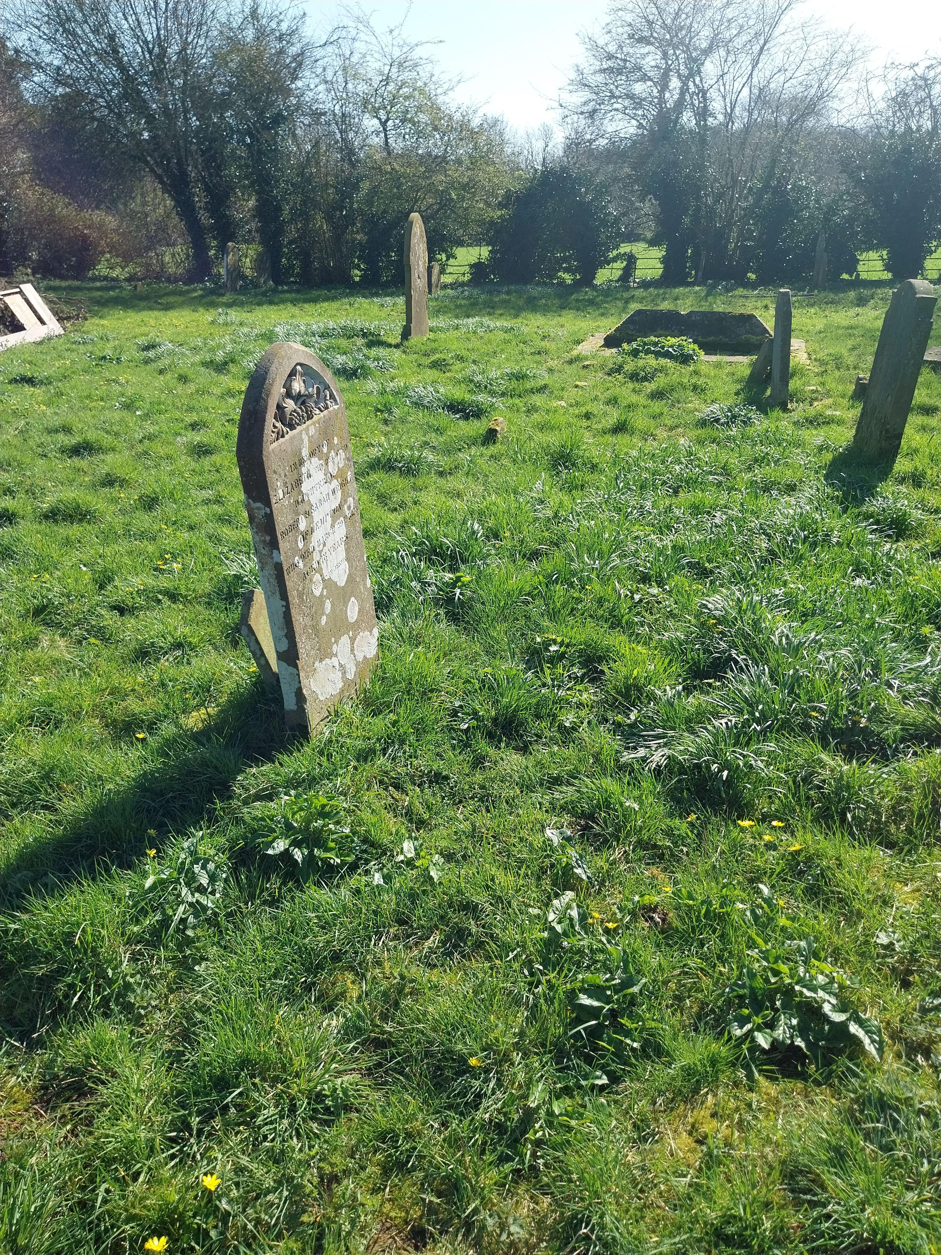 Grave image for WRIGHT, Elizabeth