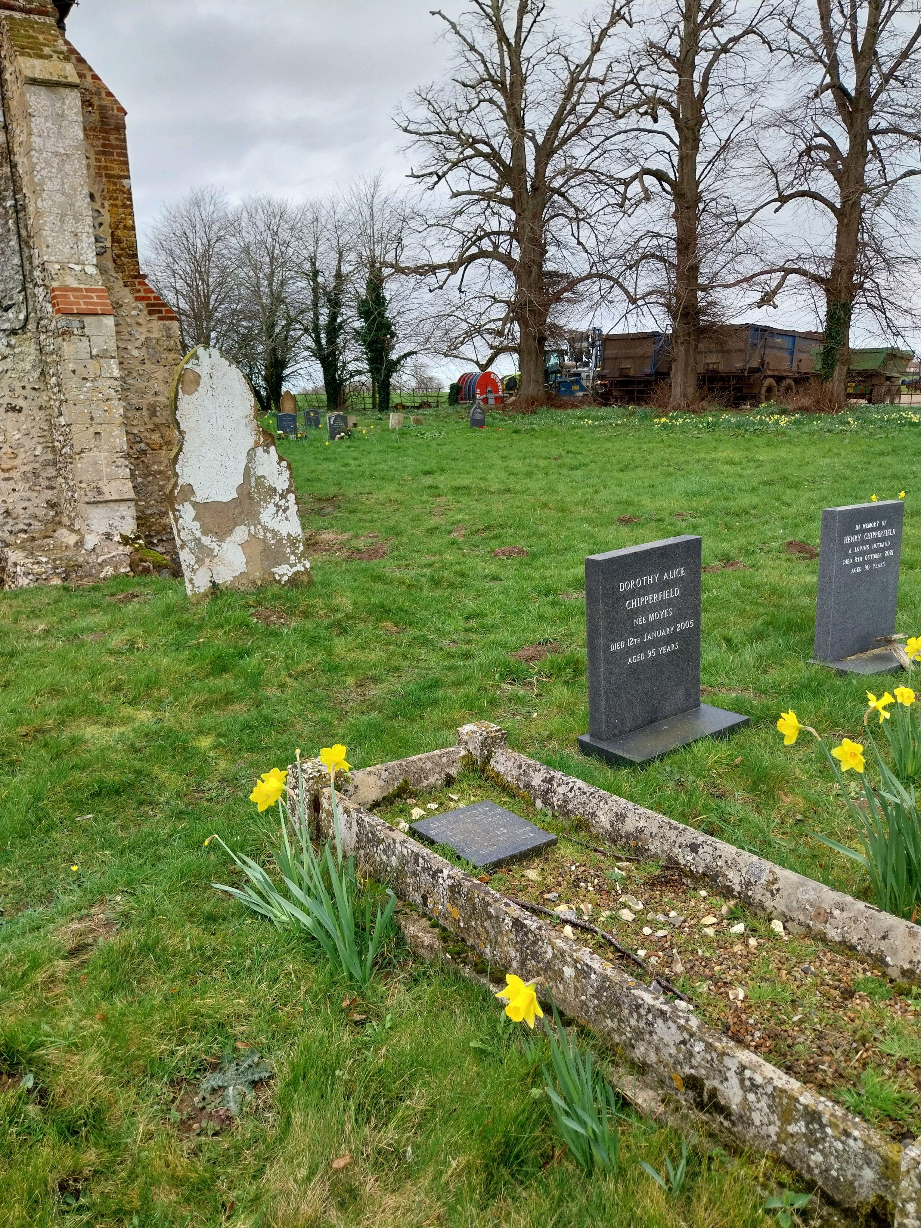 Grave image for CHIPPERFIELD, Dorothy Alice