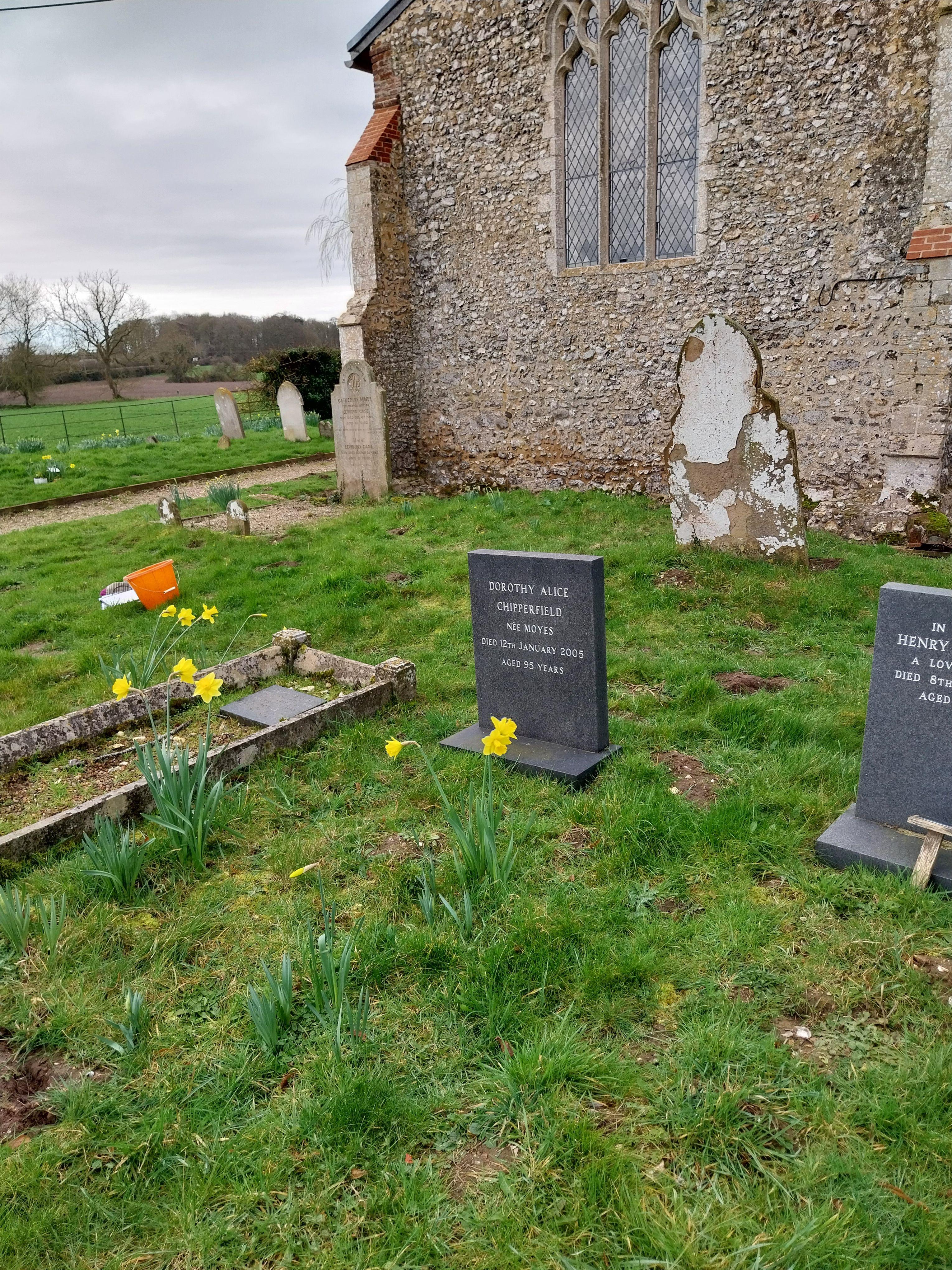 Grave image for CHIPPERFIELD, Dorothy Alice