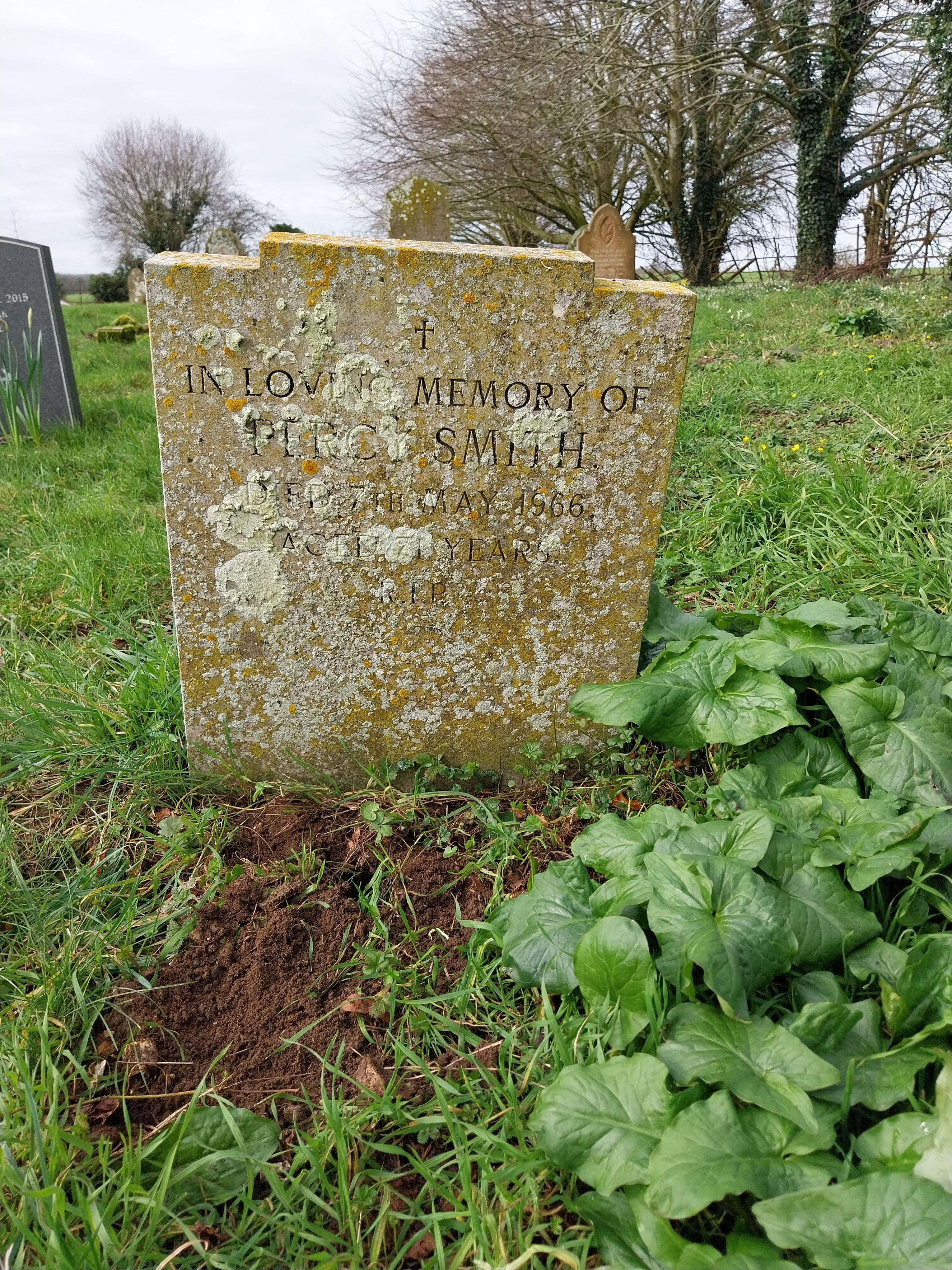 Grave image for SMITH, Percy