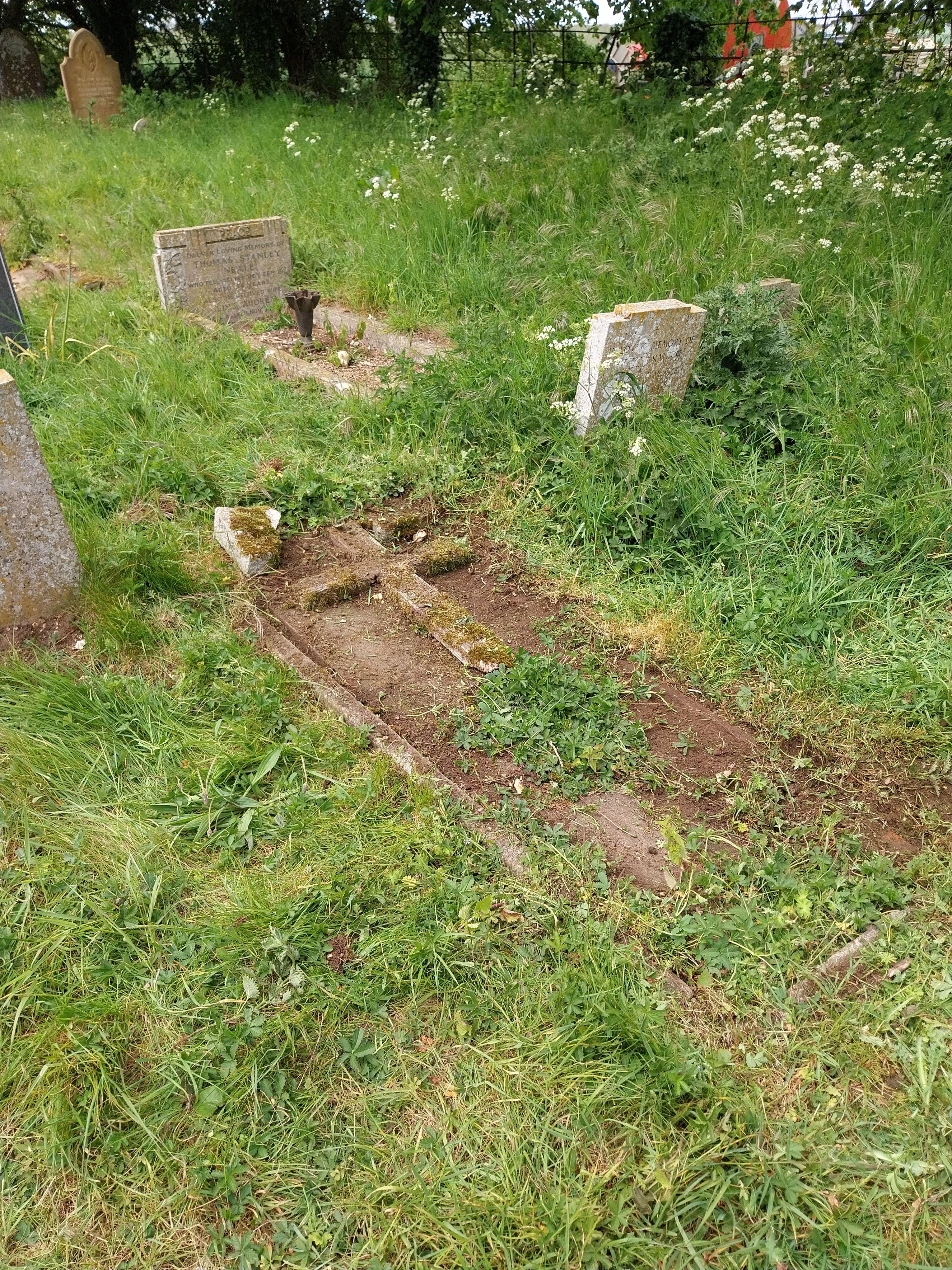 Grave image for BORROWDALE, Violet Olive