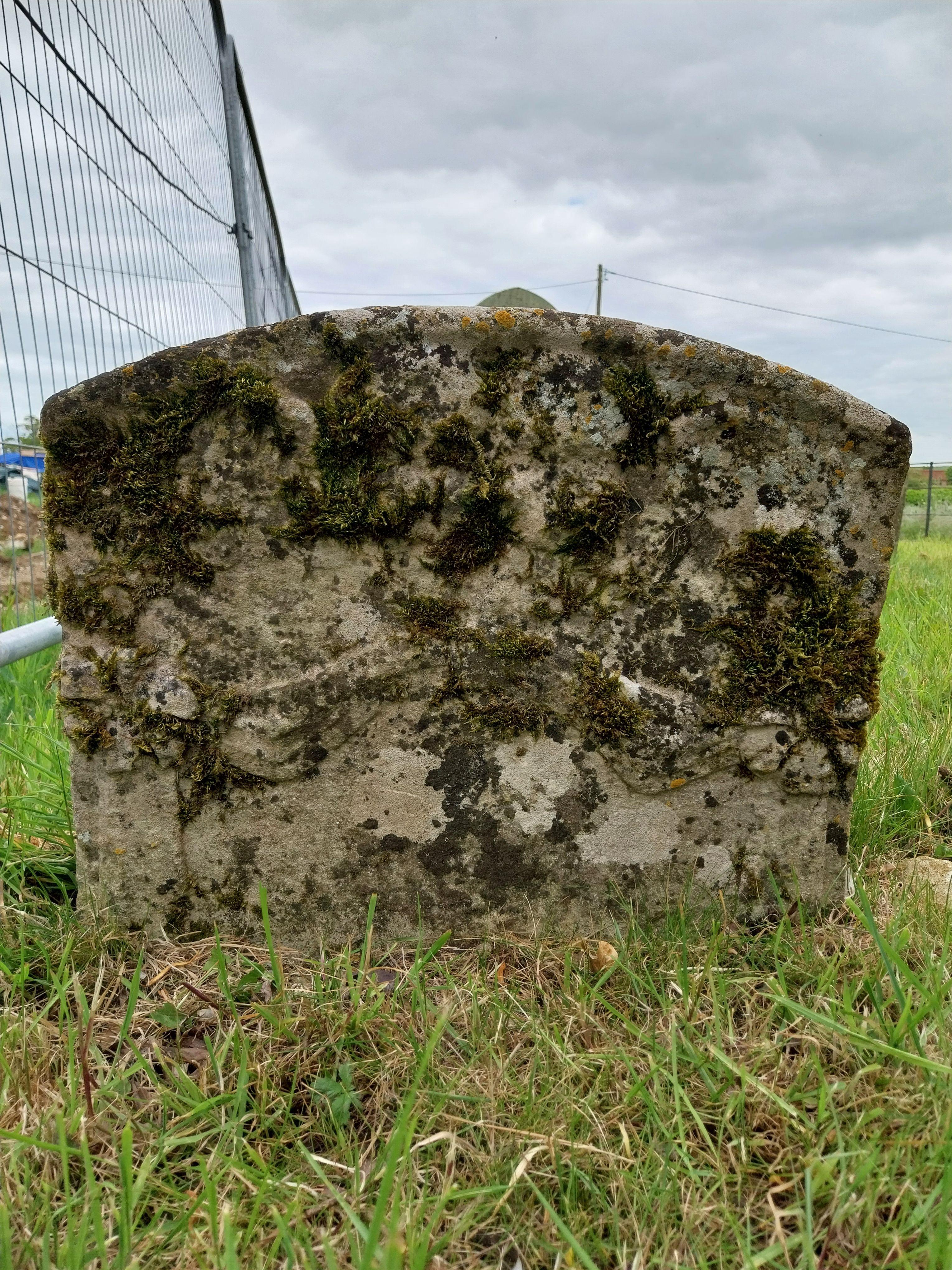 Grave image for ALBY, Sarah