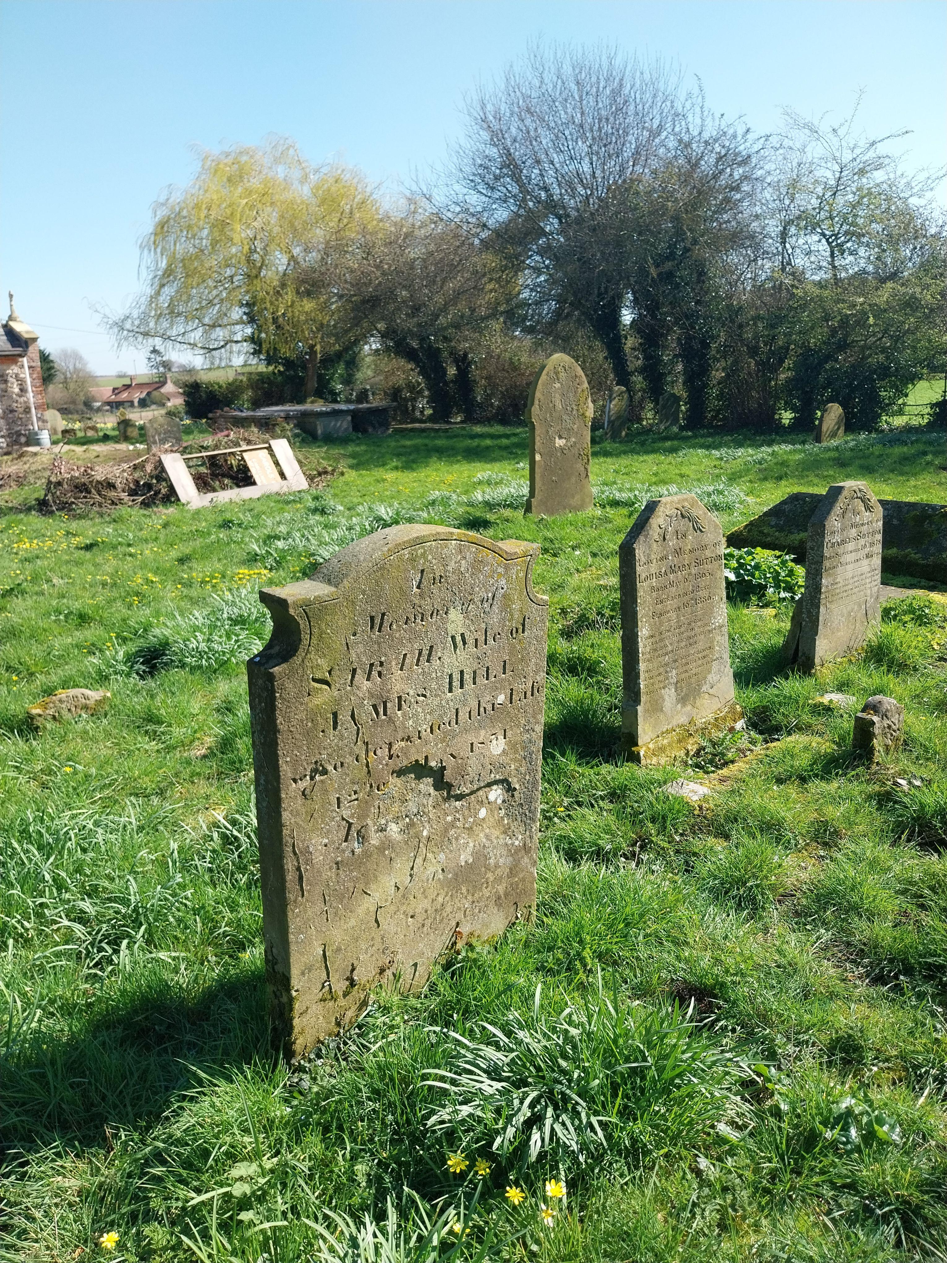 Grave image for HILL, Sarah