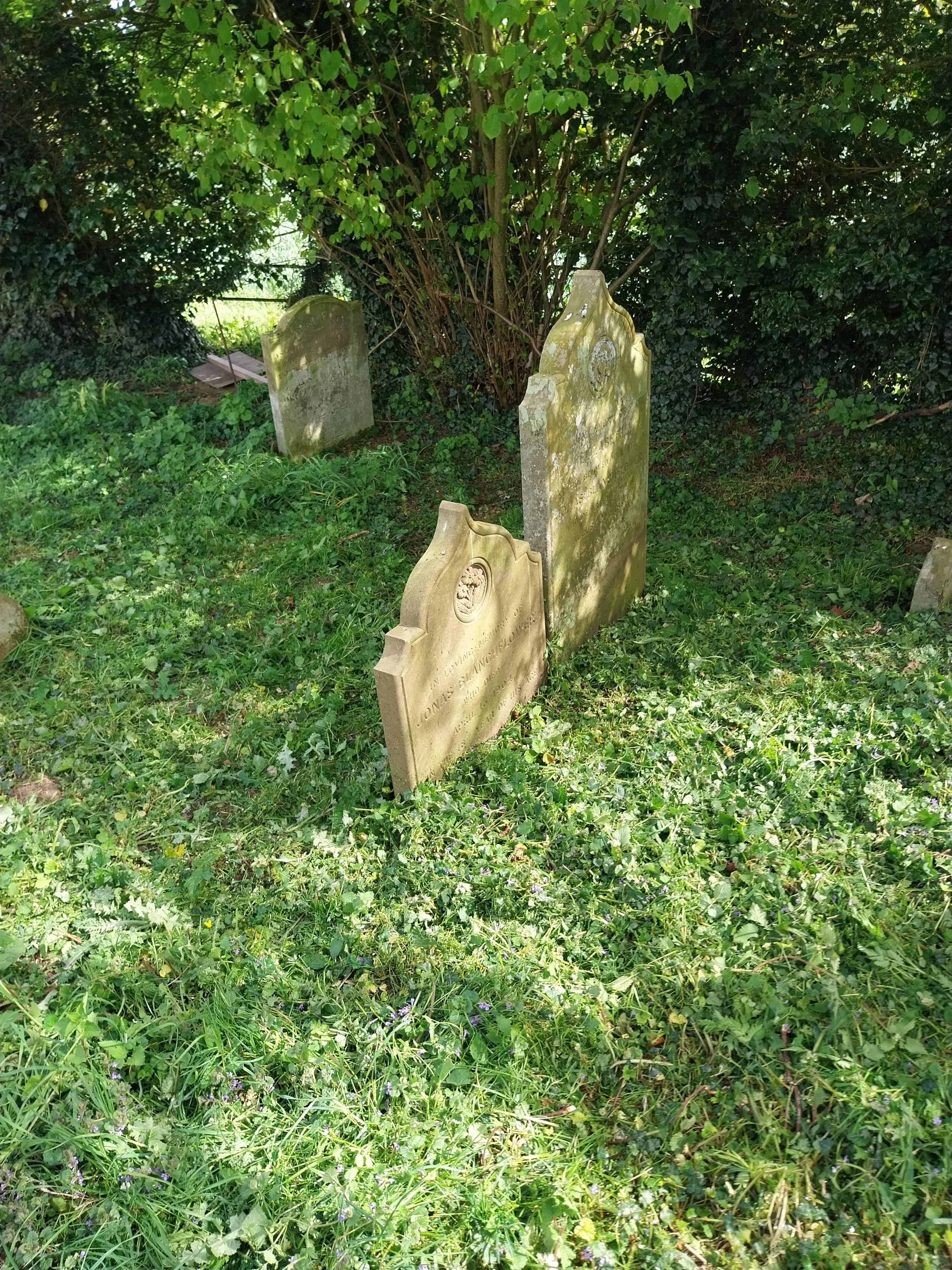 Grave image for BLANCHFLOWER, Jonas