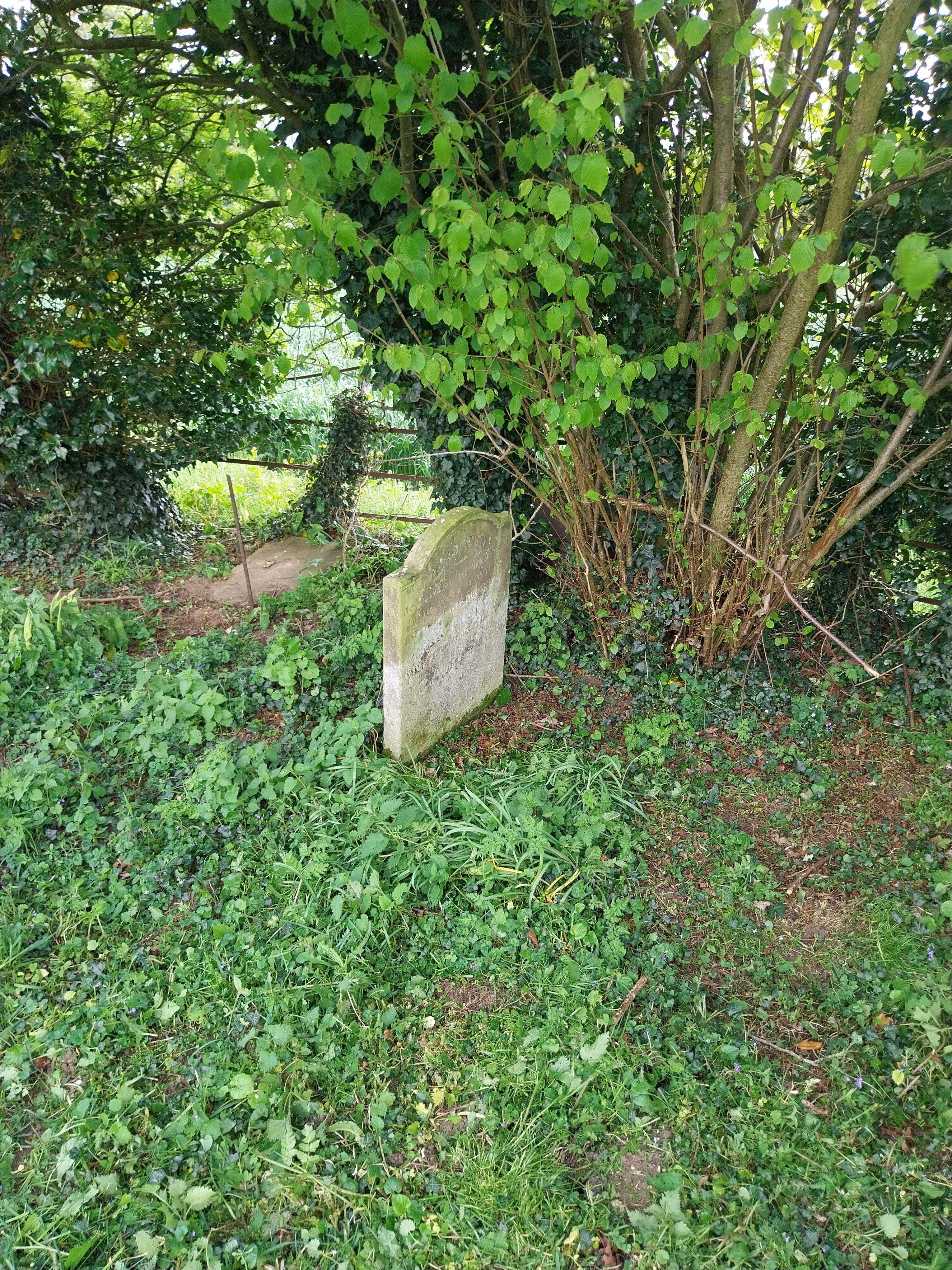 Grave image for DIGGENS, John