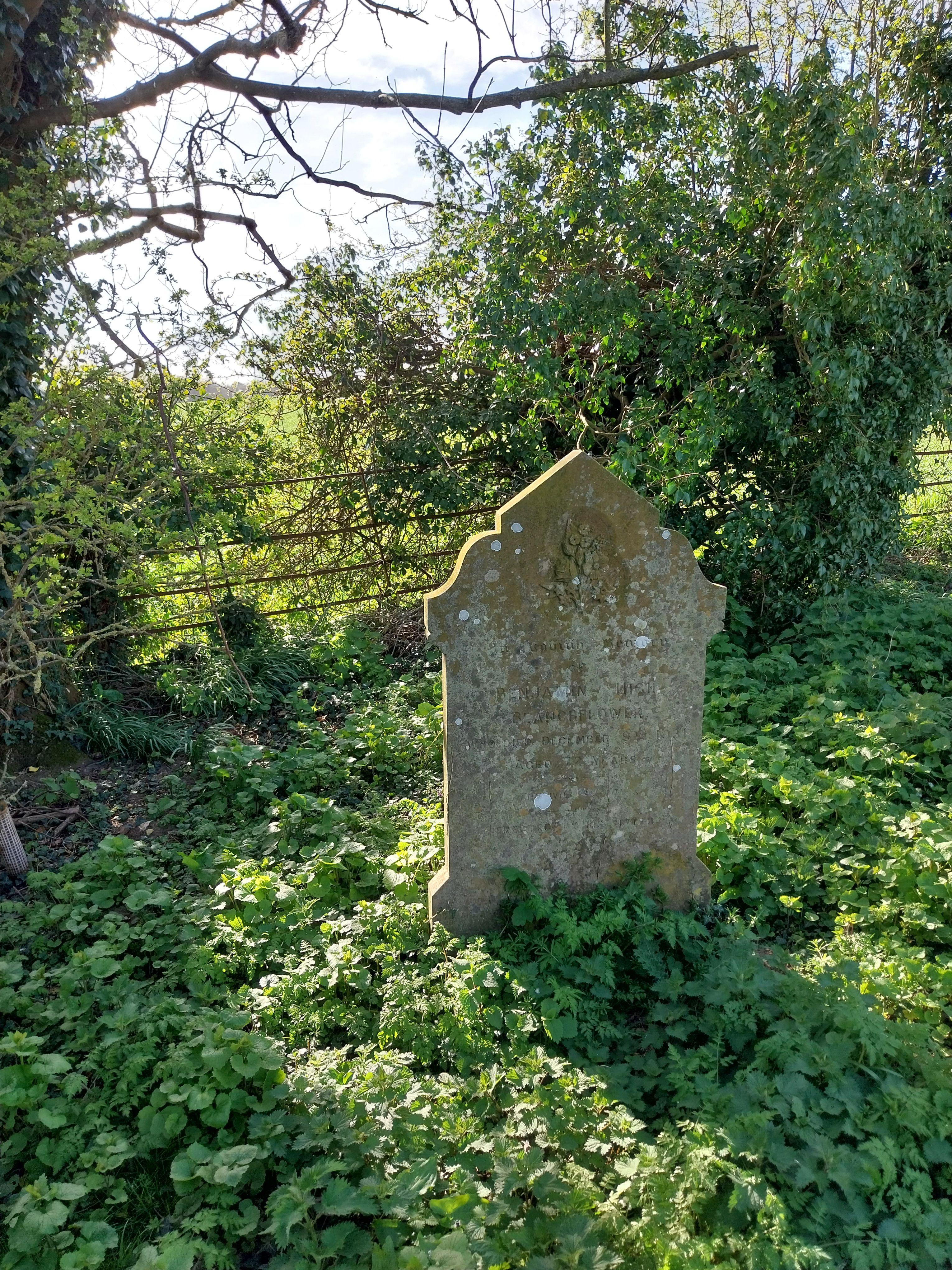 Grave image for BLANCHFLOWER, Benjamin High