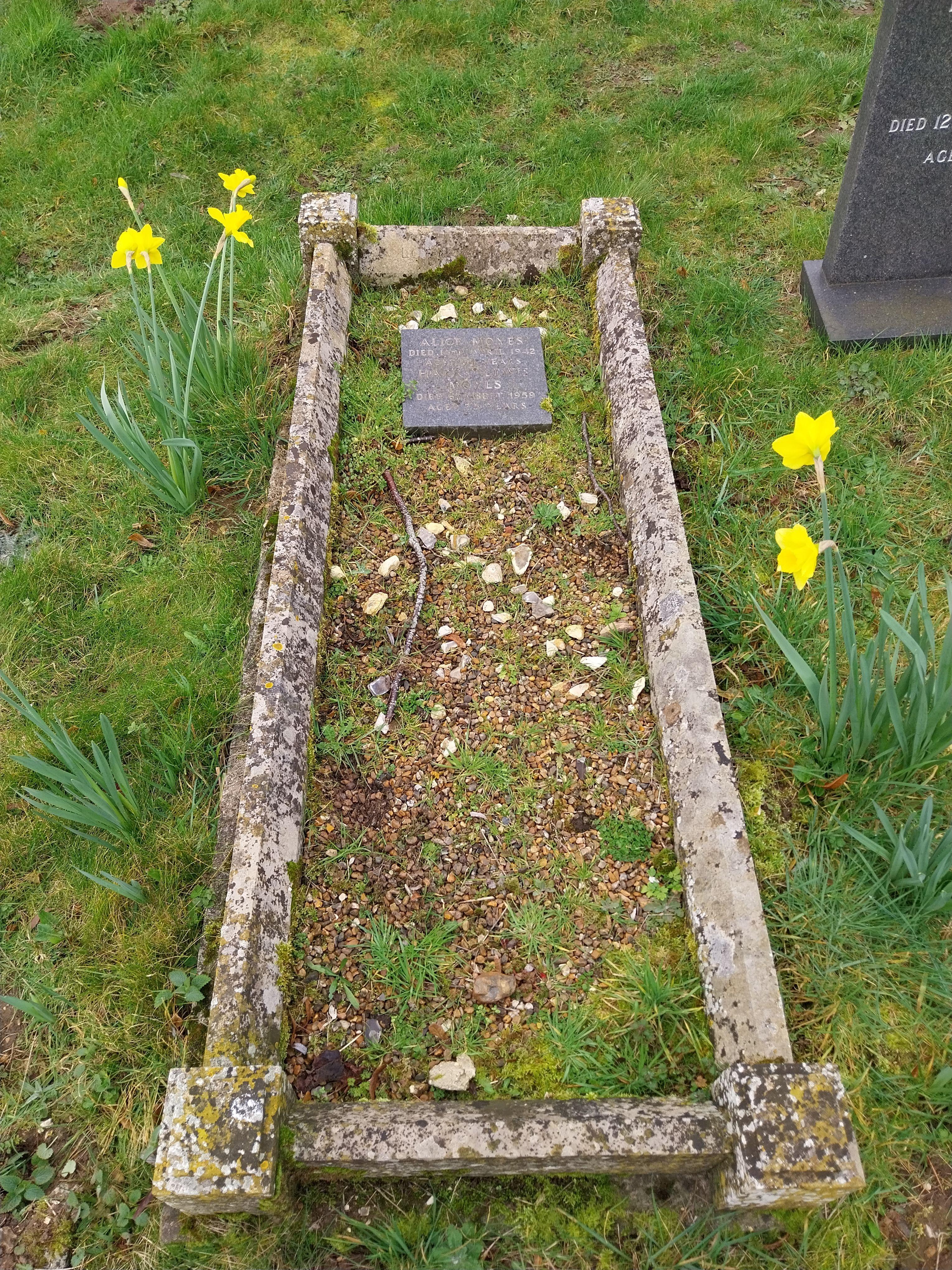 Grave image for MOYES, Alice