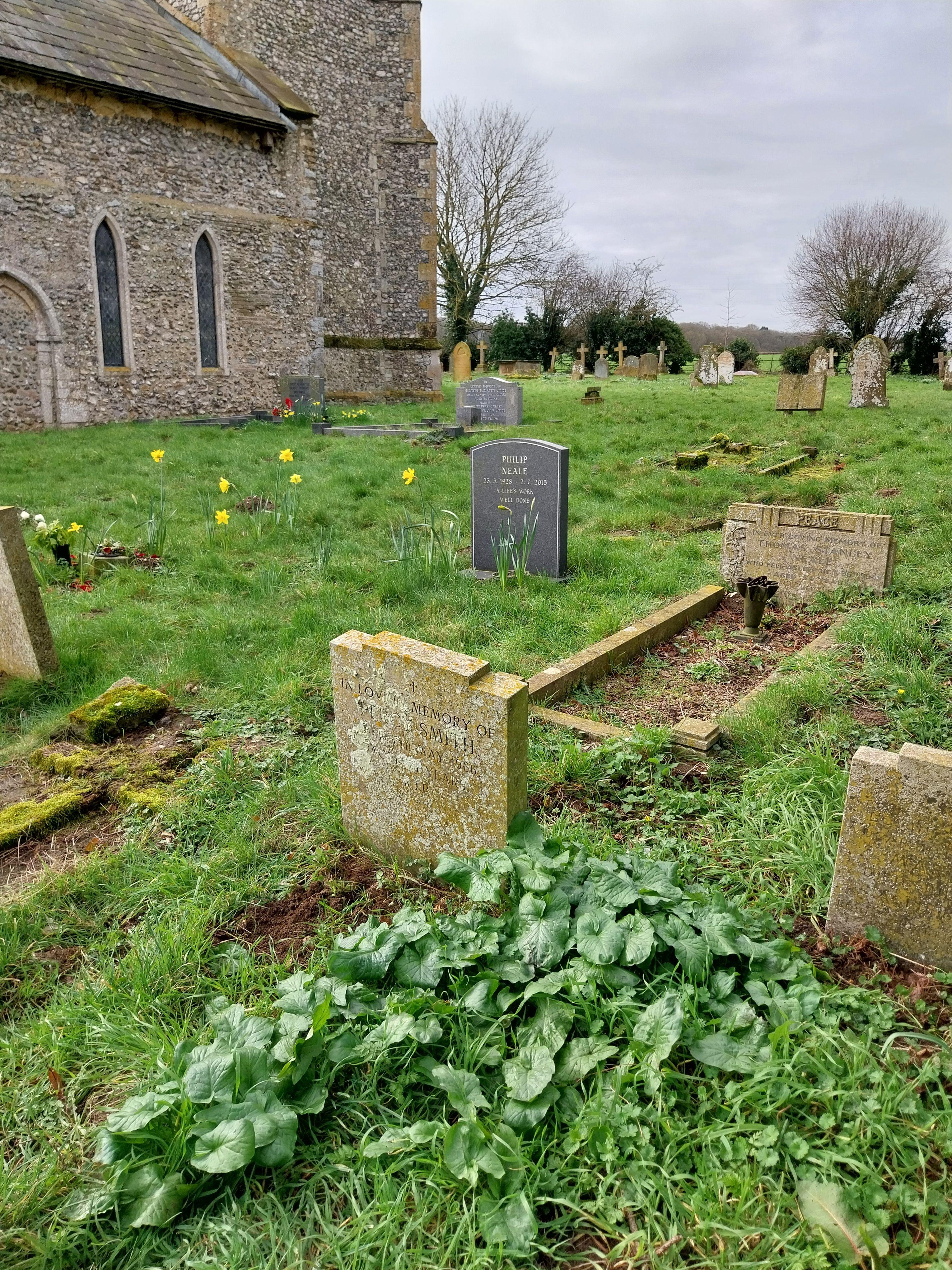 Grave image for SMITH, Percy