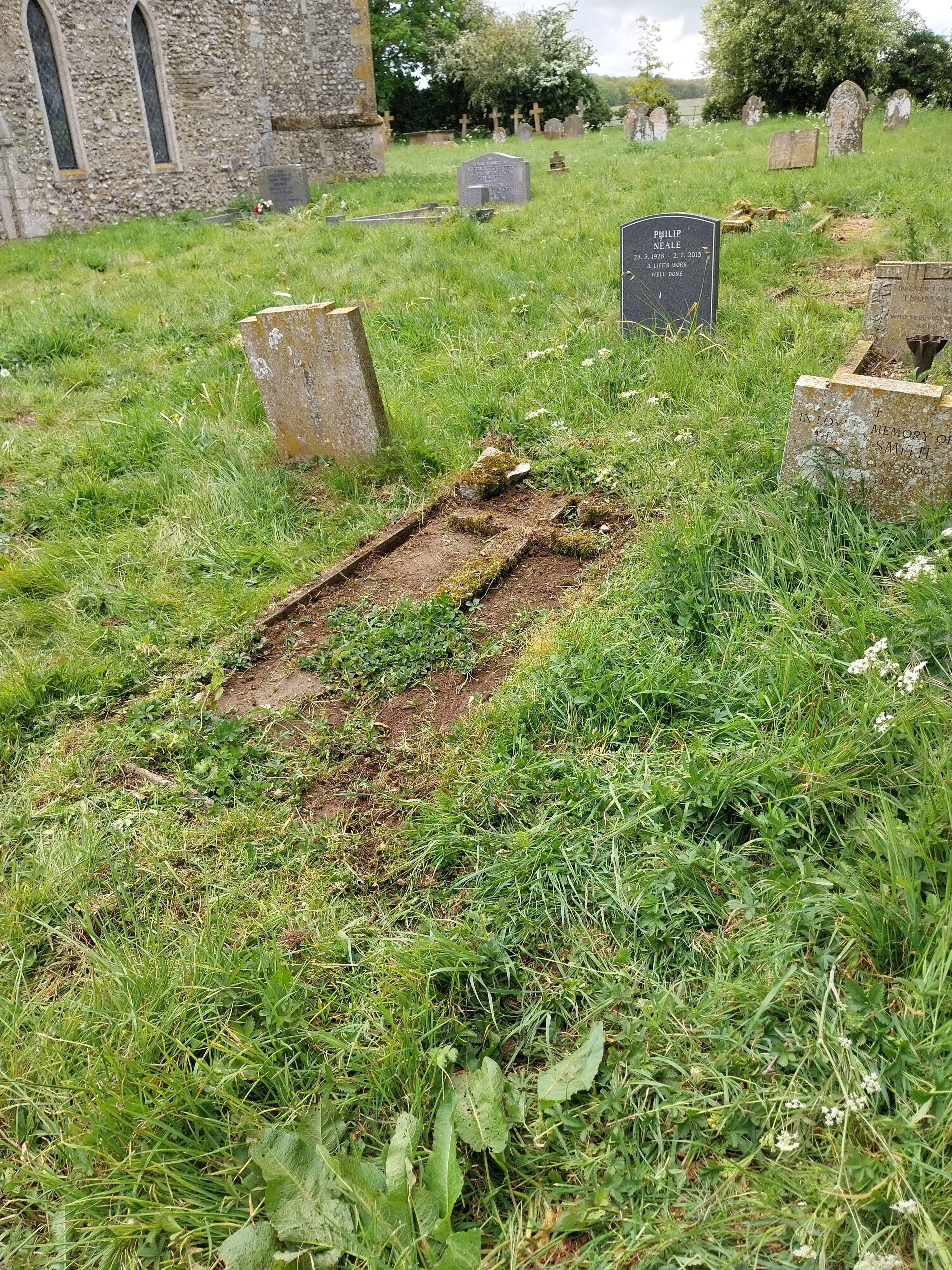 Grave image for BORROWDALE, Violet Olive