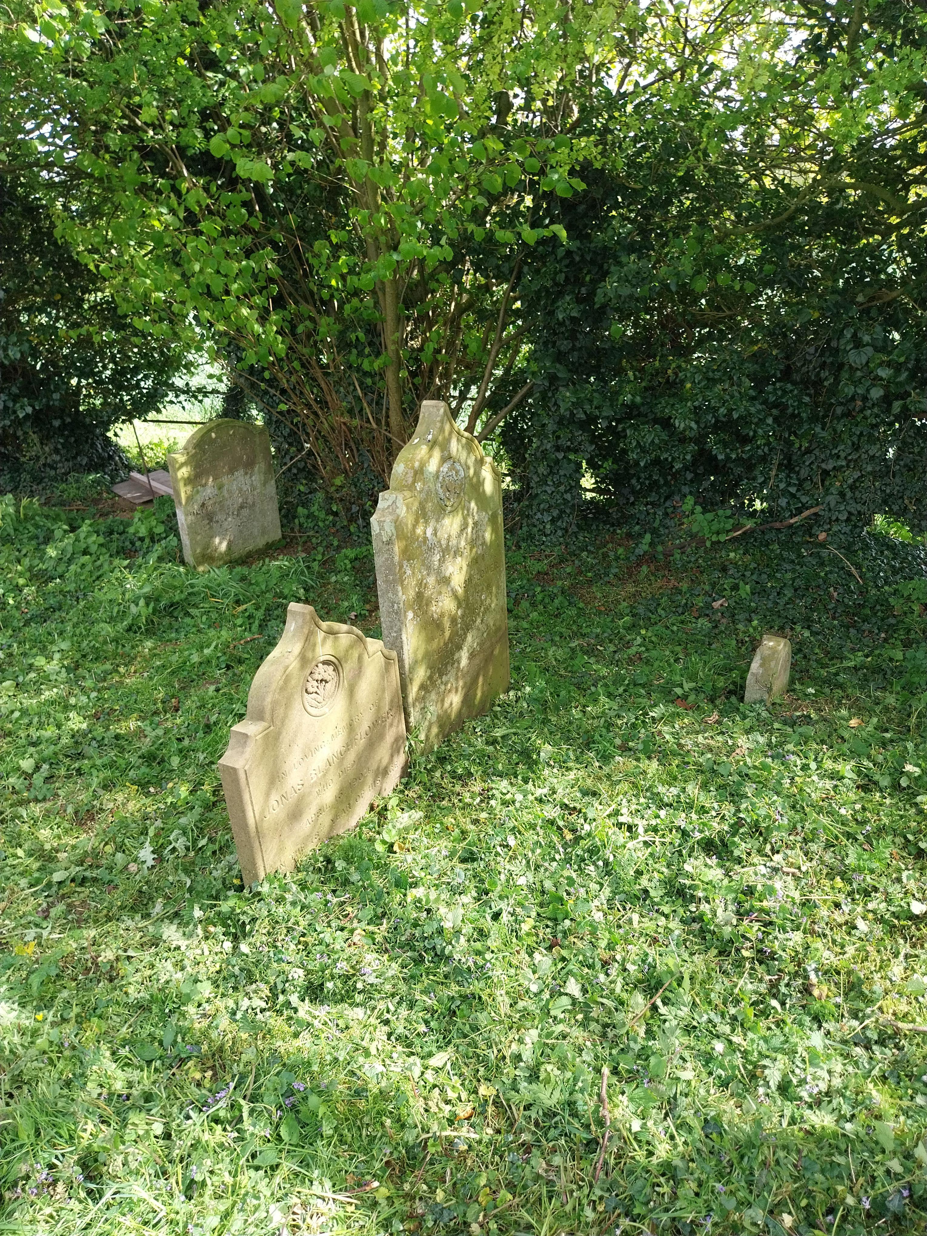 Grave image for BLANCHFLOWER, Elizabeth
