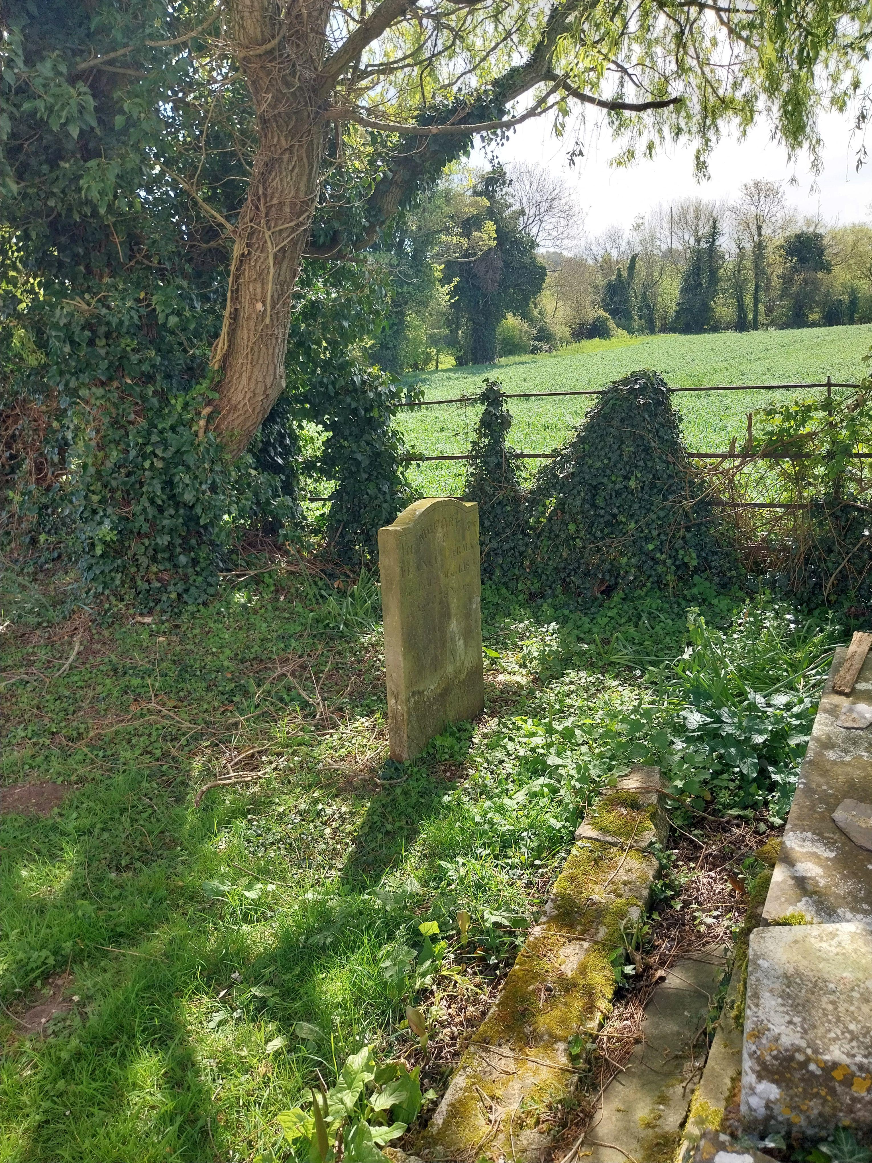 Grave image for CARMAN, Francis