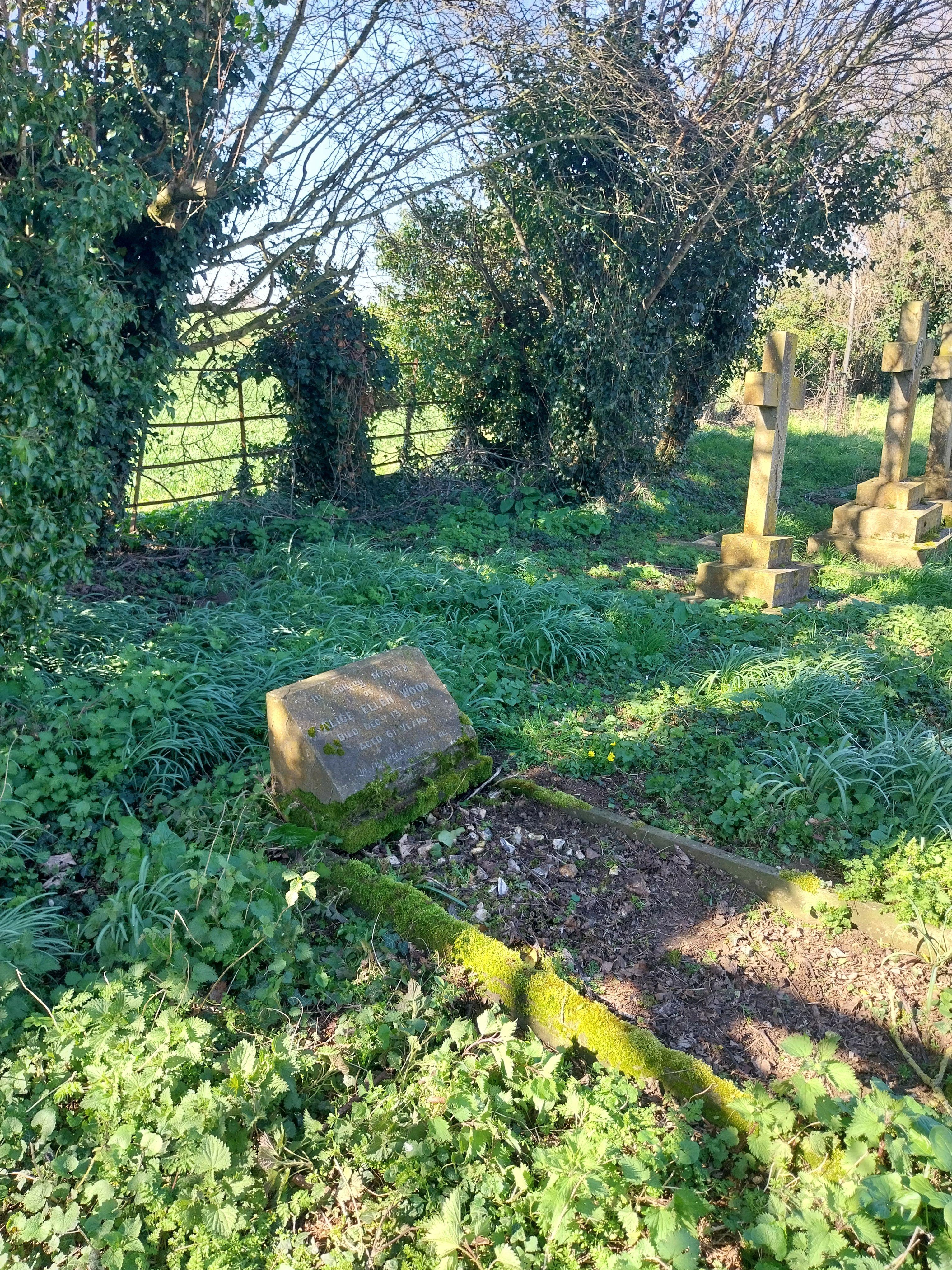 Grave image for WOOD, Alice Ellen