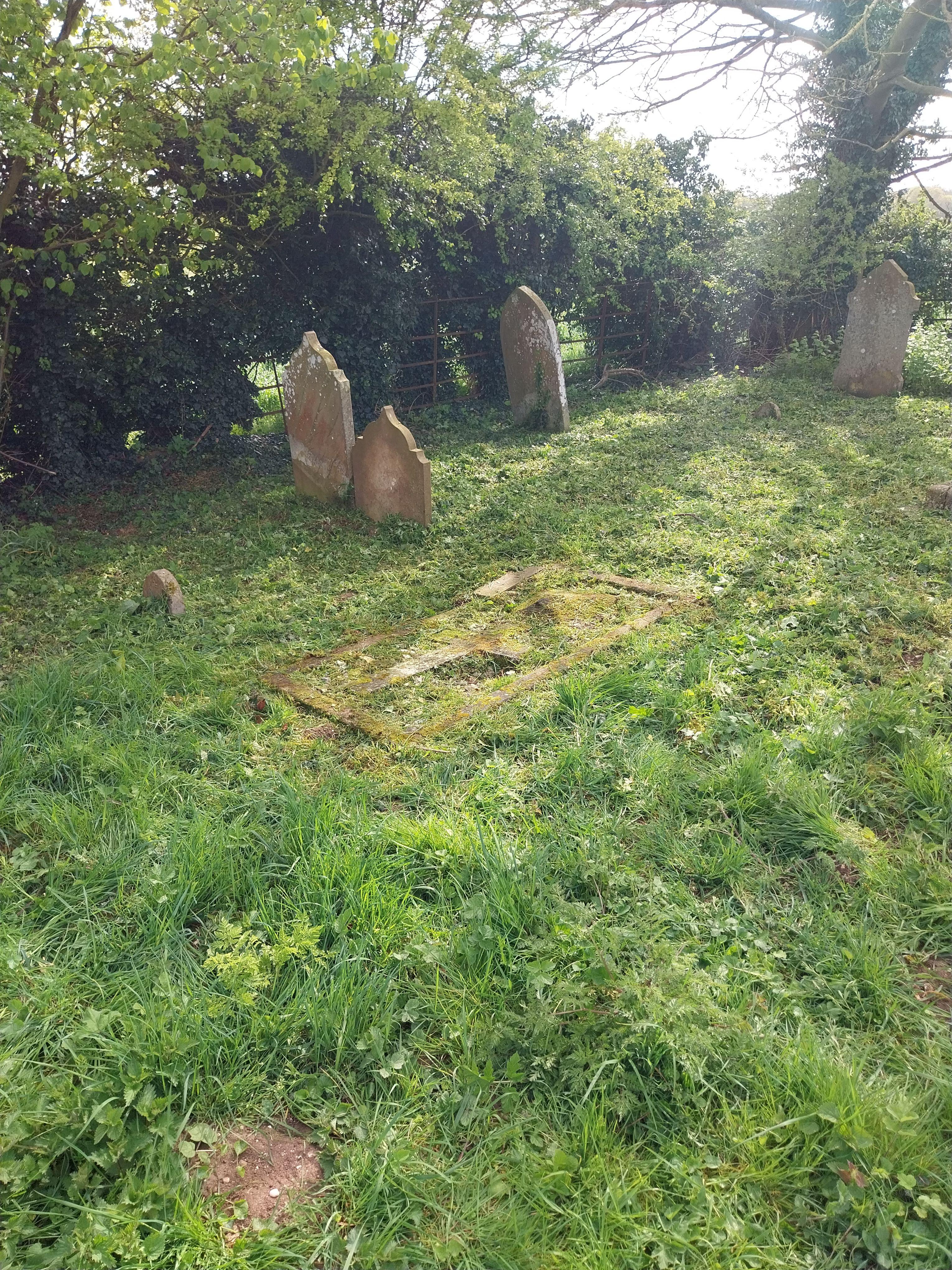 Grave image for SALTER, Fred Marner