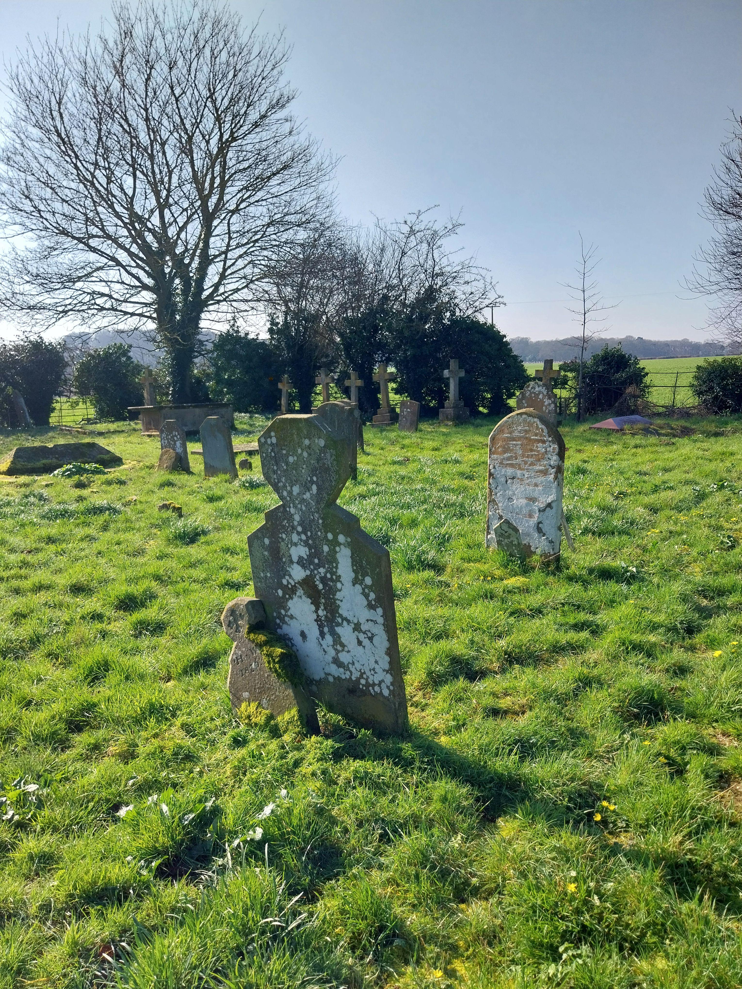 Grave image for WRIGHT, Henry (Harry)